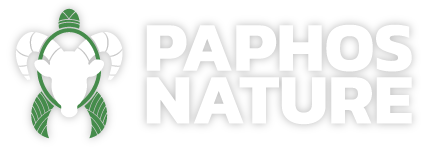 Paphos Nature