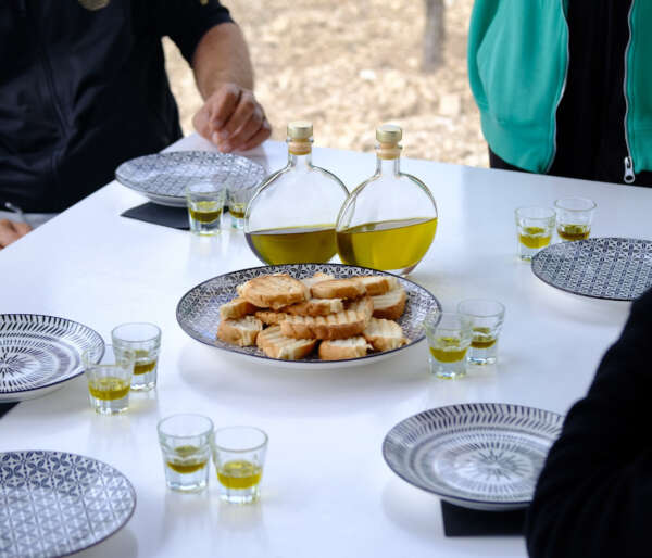 Traditional Tasting Tour